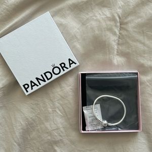 Pandora moments snake chain bracelet